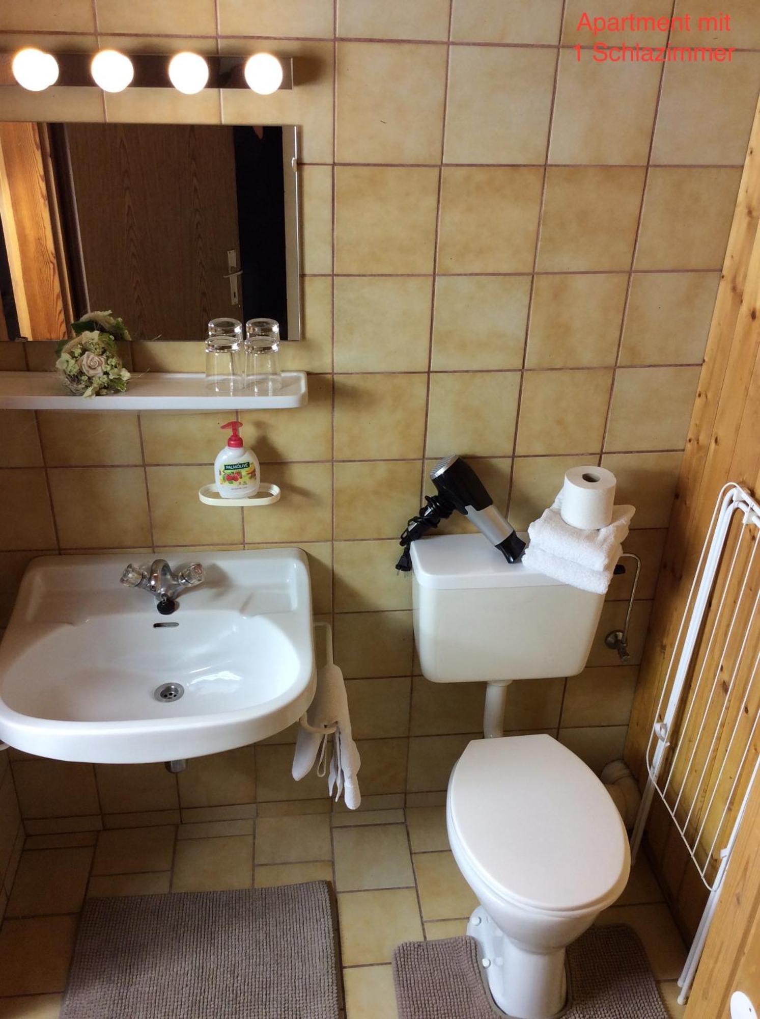 Gadenstaetter In Der City Apartment Zell am See